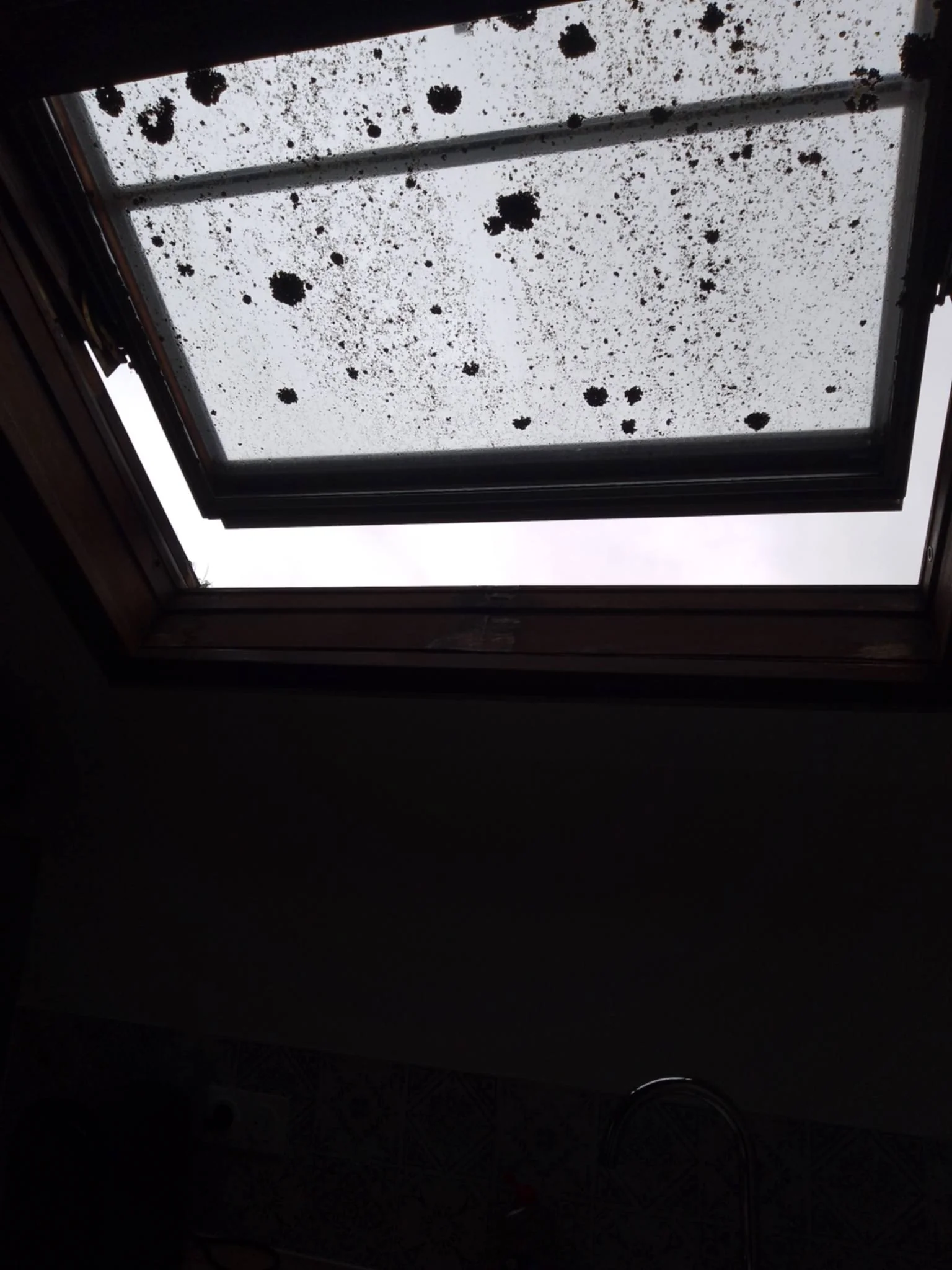 Réalisation Velux Avant
